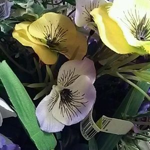 Meet your Posher, Marjorie